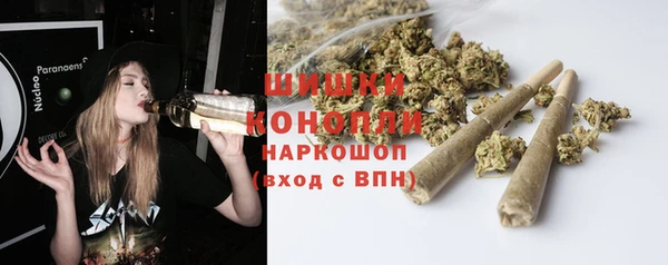 ГАЛЛЮЦИНОГЕННЫЕ ГРИБЫ Нефтекумск