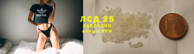 ГАЛЛЮЦИНОГЕННЫЕ ГРИБЫ Новозыбков