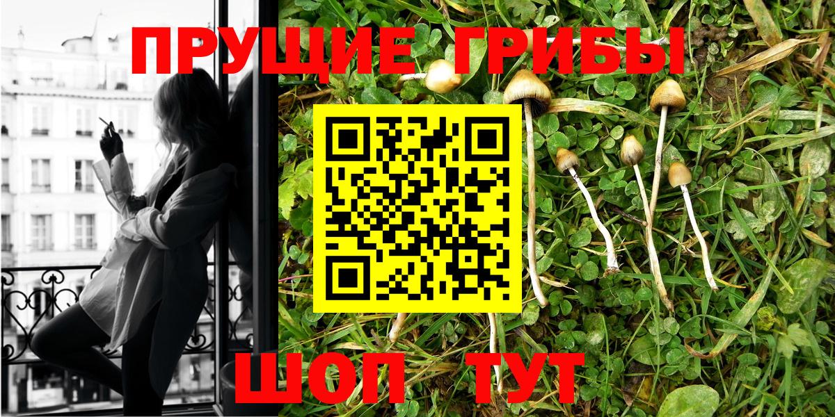 Галлюциногенные грибы MAGIC MUSHROOMS  Вход с VPN  Белогорск 