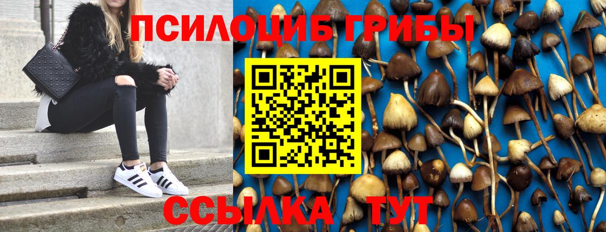продажа наркотиков  Псилоцибиновые грибы Psilocybe  Белогорск  Галлюциногенные грибы мицелий 