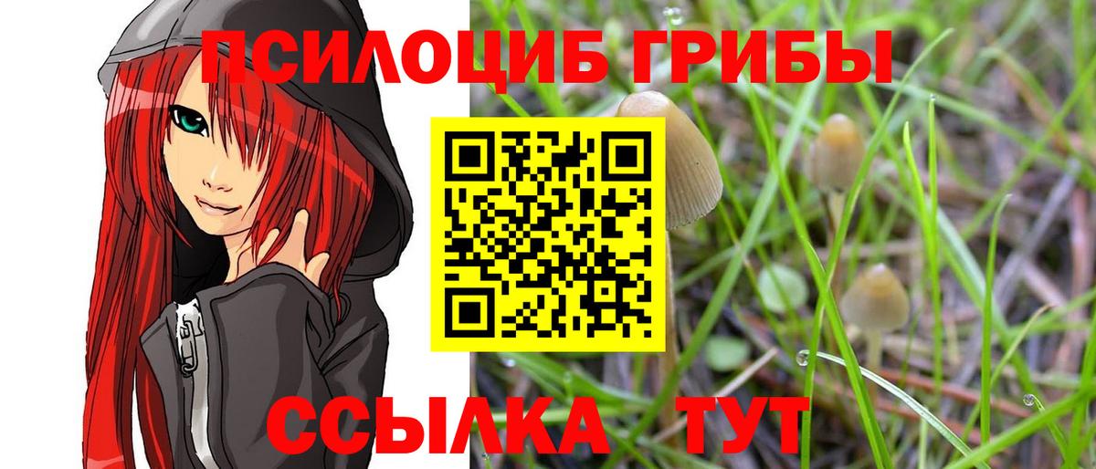 Псилоцибиновые грибы GOLDEN TEACHER Белогорск